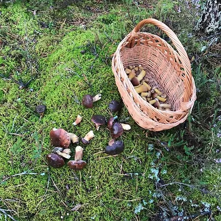 Apartment 23 W Porto *